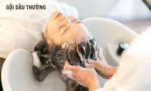 Gội dầu thường chính hãng Dr.REJU Clinic